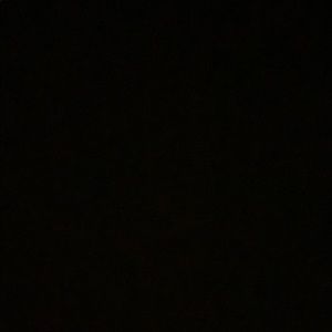 Meet your Posher, Celina